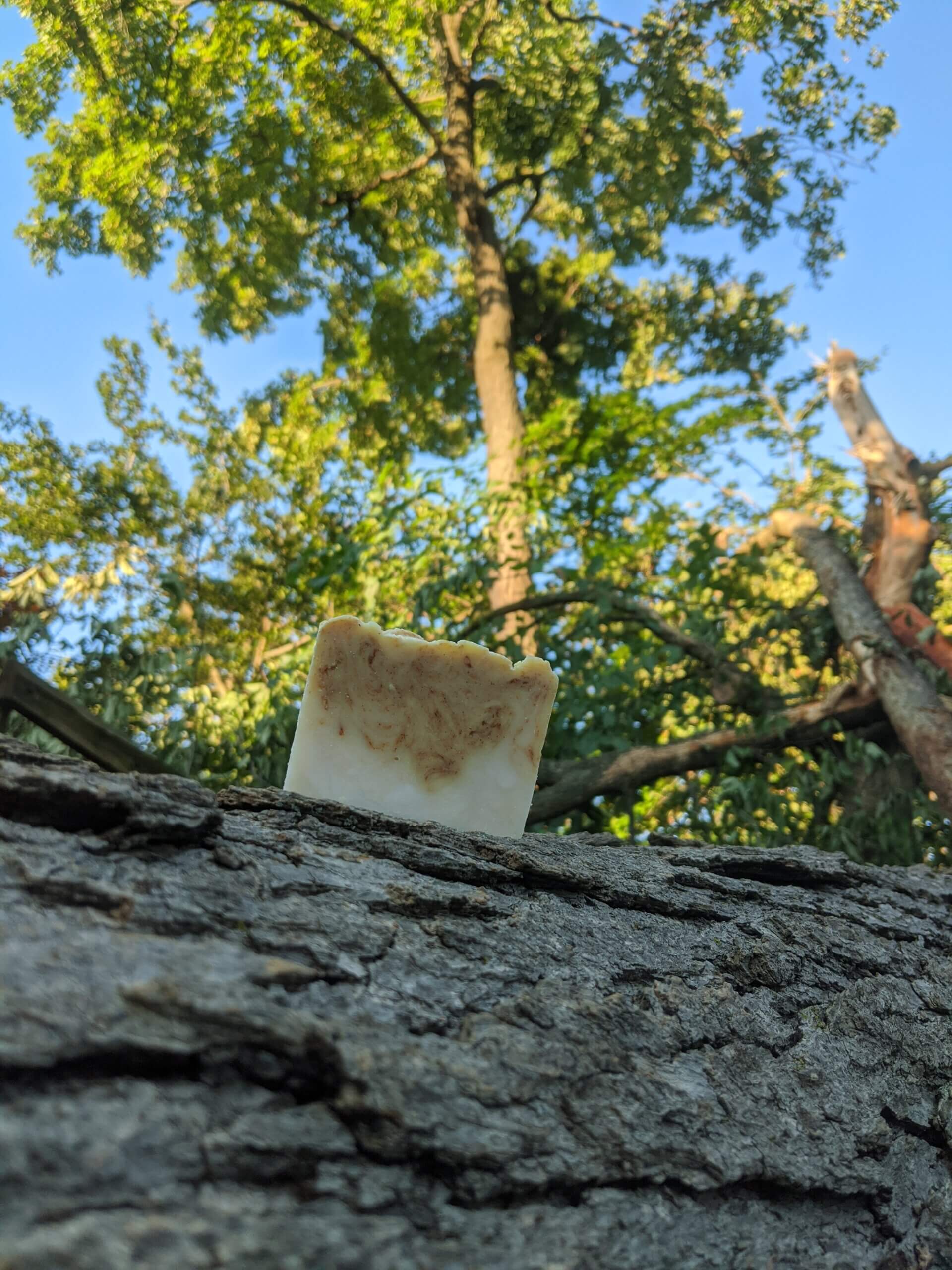 Jasmine Tea - Bar Soap